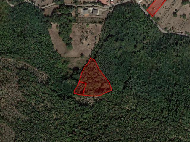 #18675 Terreni agricoli di mq 13.295 in vendita - foto 3