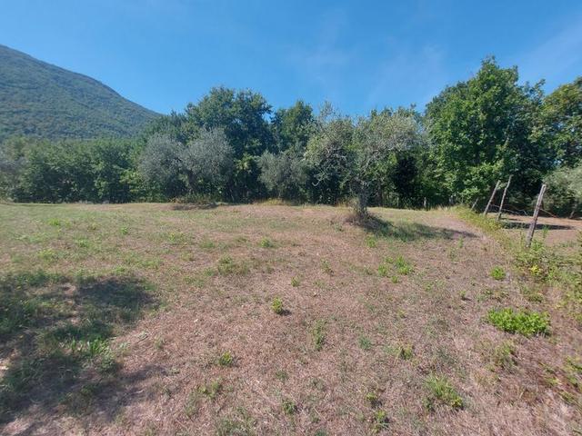 #18675 Terreni agricoli di mq 13.295 in vendita - foto 6