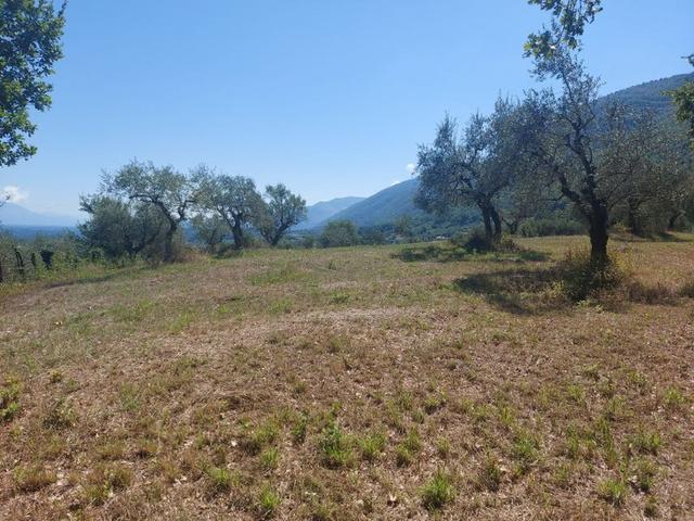 #18675 Terreni agricoli di mq 13.295 in vendita - foto 7