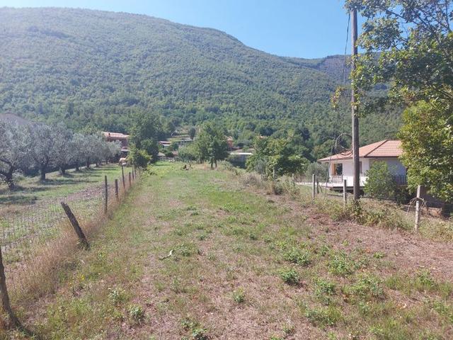 #18675 Terreni agricoli di mq 13.295 in vendita - foto 9