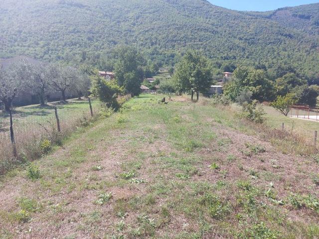 #18675 Terreni agricoli di mq 13.295 in vendita - foto 11