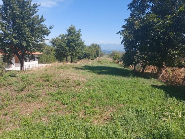 #18675 Terreni agricoli di mq 13.295 in vendita - foto 14