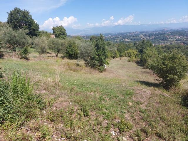 #18675 Terreni agricoli di mq 13.295 in vendita - foto 15