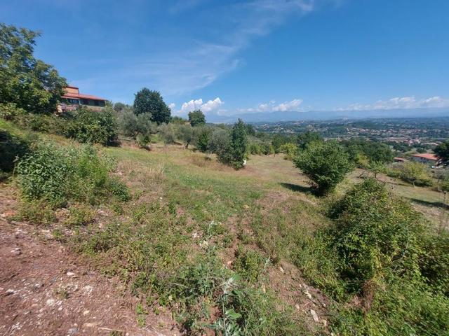 #18675 Terreni agricoli di mq 13.295 in vendita - foto 16