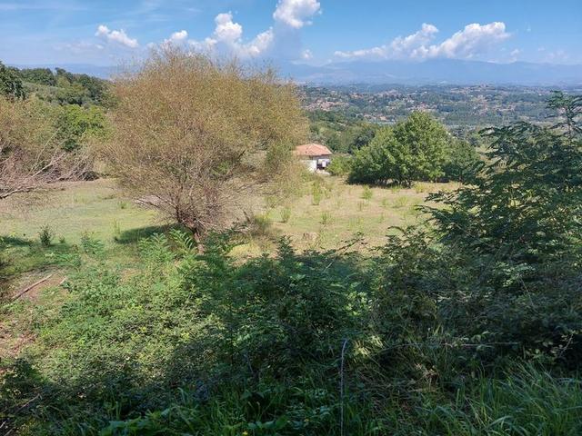 #18675 Terreni agricoli di mq 13.295 in vendita - foto 18