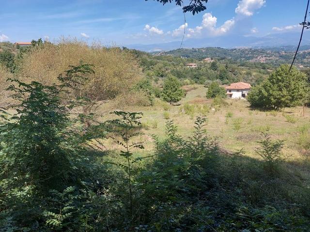 #18675 Terreni agricoli di mq 13.295 in vendita - foto 19