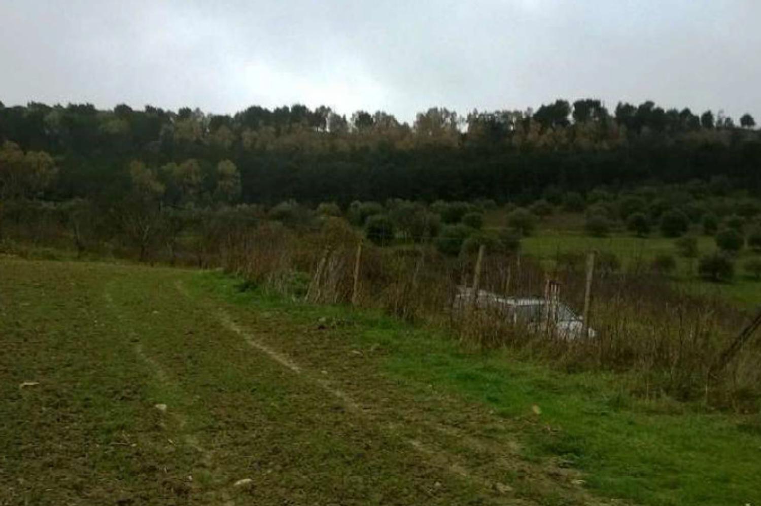 Agricoli in vendita