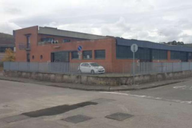 Stabilimenti produttivi in vendita