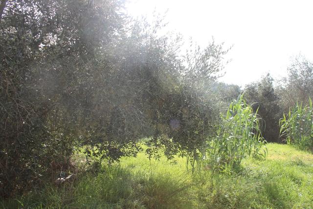 Appartamenti in vendita