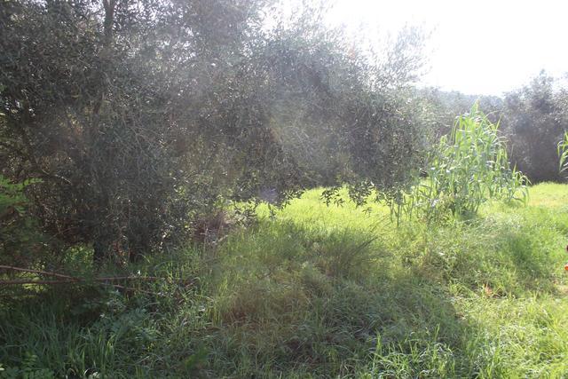 Appartamenti in vendita