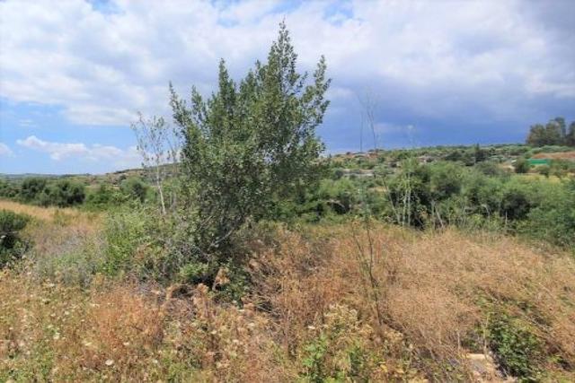 #19072 Appezzamento agricolo vicino a ferrovia in vendita - foto 2