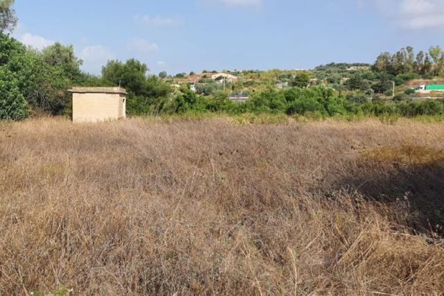 #19072 Appezzamento agricolo vicino a ferrovia in vendita - foto 9