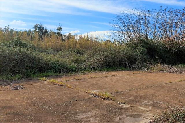 #19442 Complesso artigianale con cortile e pertinenze in vendita - foto 19