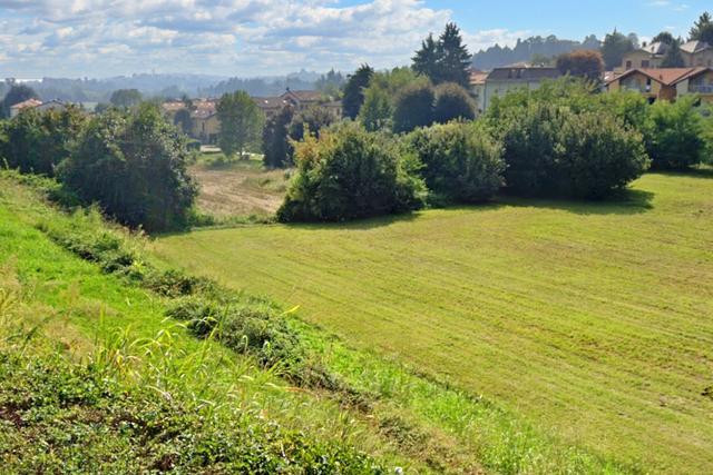 #19475 Appezzamento agricolo a seminativo arborato in vendita - foto 3