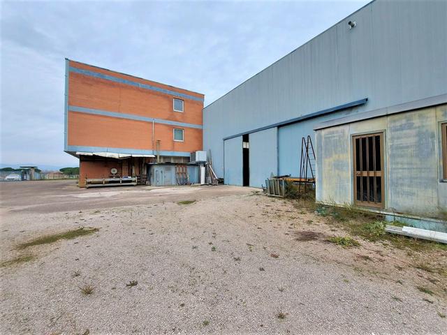 #19516 Capannone con palazzina e corte in vendita - foto 3
