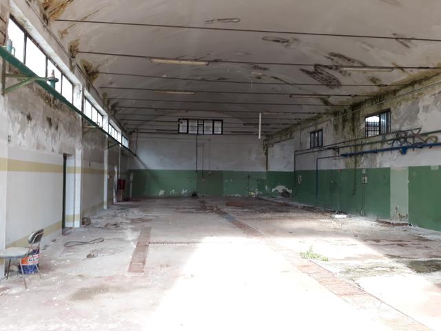 #19536 Complesso produttivo con pertinenze in vendita - foto 3