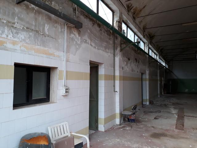 #19536 Complesso produttivo con pertinenze in vendita - foto 4