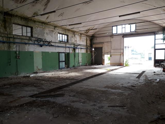 #19536 Complesso produttivo con pertinenze in vendita - foto 7