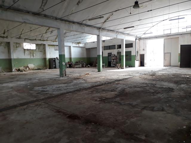 #19536 Complesso produttivo con pertinenze in vendita - foto 9