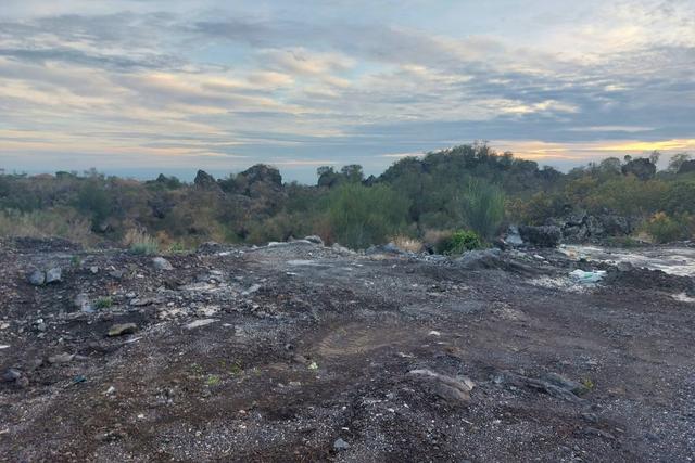 #19605 Terreno agricolo alle pendici dell’Etna in vendita - foto 2