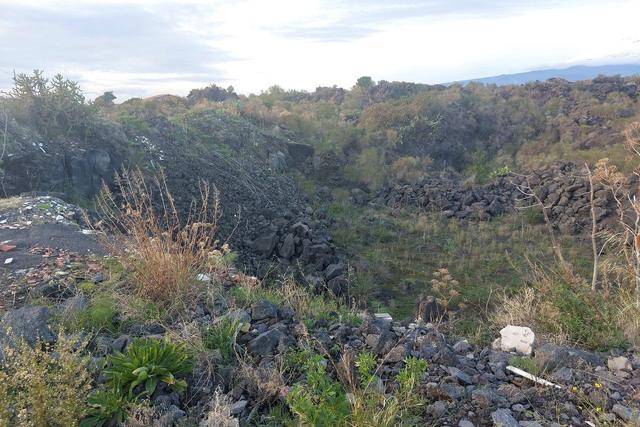 #19605 Terreno agricolo alle pendici dell’Etna in vendita - foto 4