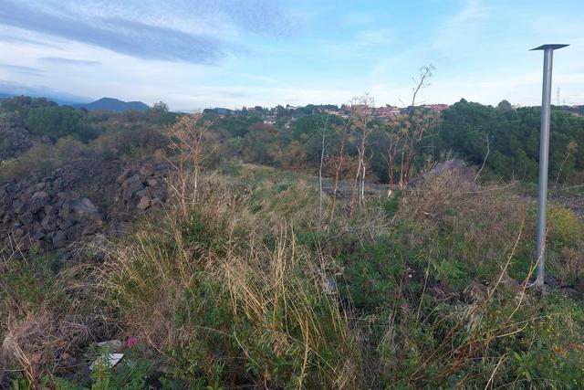 #19605 Terreno agricolo alle pendici dell’Etna in vendita - foto 6