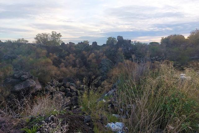 #19605 Terreno agricolo alle pendici dell’Etna in vendita - foto 8