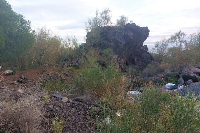 #19605 Terreno agricolo alle pendici dell’Etna in vendita - foto 11