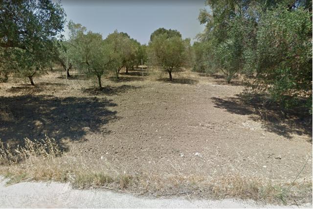 #19835 Terreno agricolo in vendita - foto 1