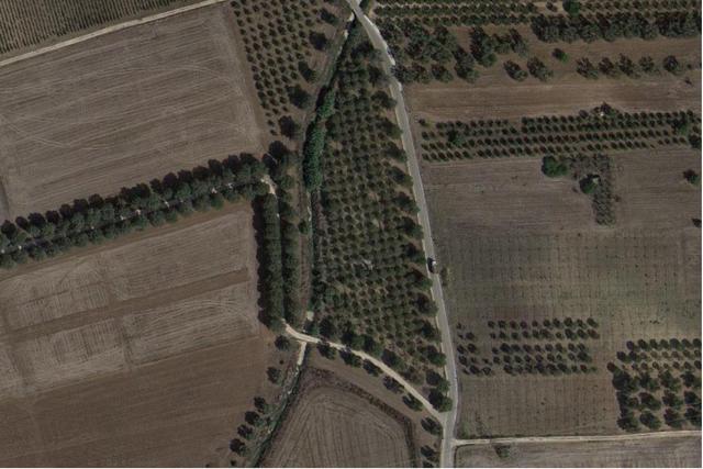 #19835 Terreno agricolo in vendita - foto 3