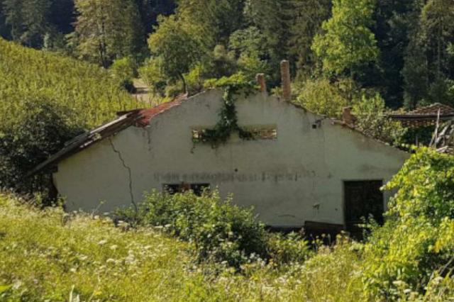#19837 Terreno agricolo con ruderi in vendita - foto 2