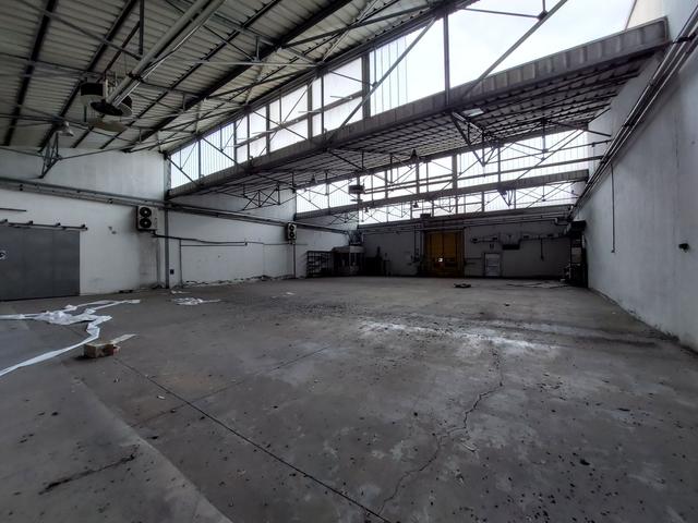 #19861 Complesso industriale con pertinenze in vendita - foto 30