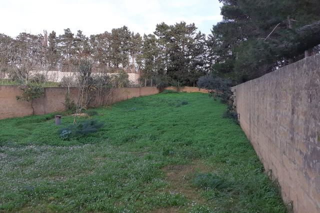 #1988 Complesso industriale con terreno in vendita - foto 7