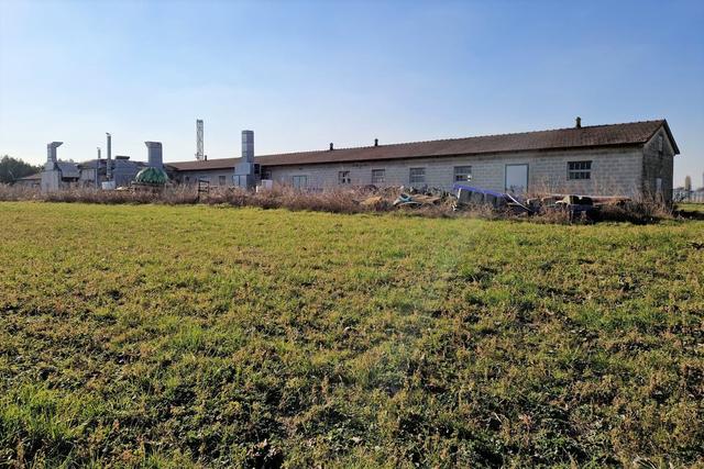 #19958 Capannone artigianale con terreno e attrezzature in vendita - foto 3