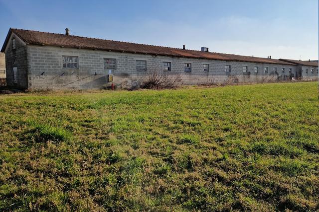 #19958 Capannone artigianale con terreno e attrezzature in vendita - foto 8