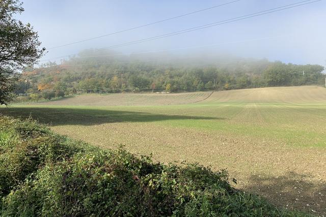 #19962 Terreno agricolo di 20157 mq in vendita - foto 4