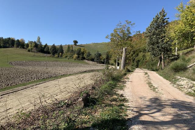 #19969 Terreni agricoli con fabbricati rurali da ristrutturare in vendita - foto 1