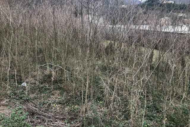 #19970 Terreno edificabile di 1866 mq in vendita - foto 4