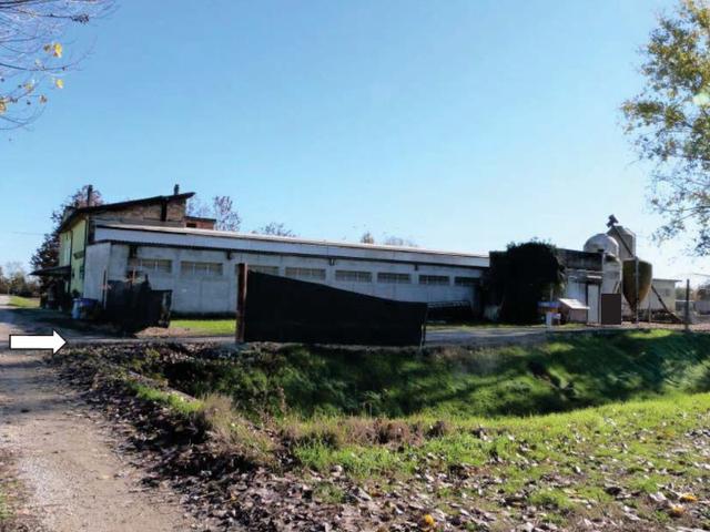 Agricoli in vendita
