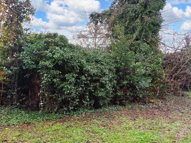 #20351 Terreno con fabbricati da ripristinare in vendita - foto 4