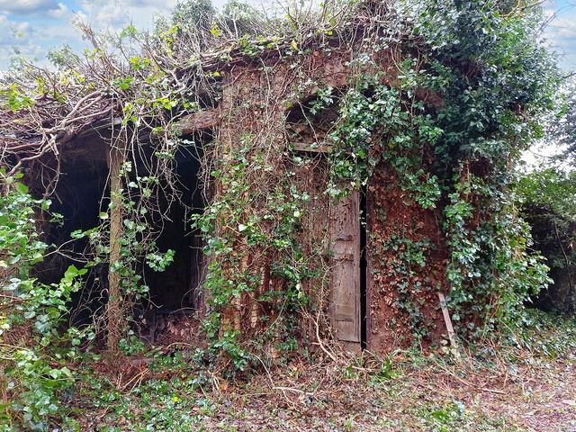 #20351 Terreno con fabbricati da ripristinare in vendita - foto 5