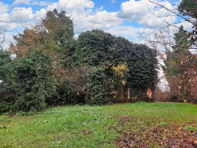 #20351 Terreno con fabbricati da ripristinare in vendita - foto 10