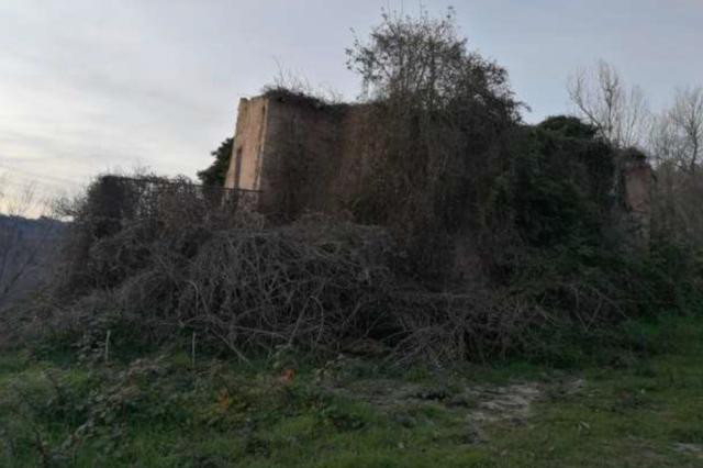 #20511 Terreni con ruderi collabenti in vendita - foto 2