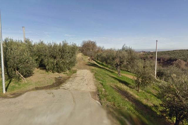 #20633 Terreno agricolo di 15.010 mq in vendita - foto 3
