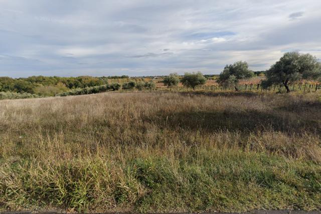#20633 Terreno agricolo di 15.010 mq in vendita - foto 5