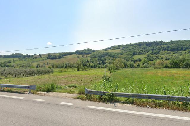 #20636 Terreni agricoli ed edificabili produttivi in vendita - foto 1