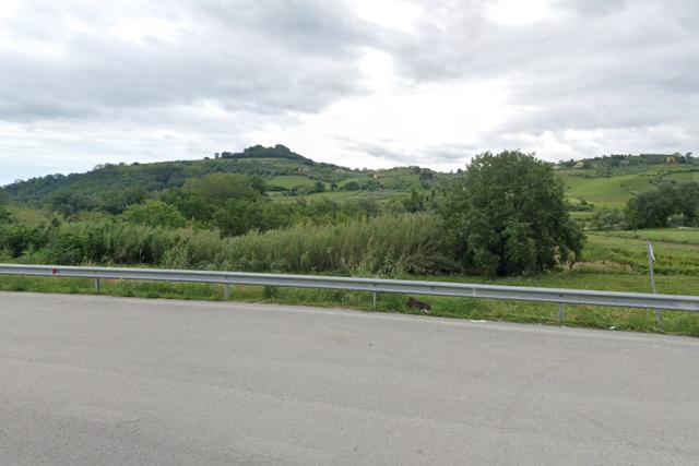 #20636 Terreni agricoli ed edificabili produttivi in vendita - foto 5
