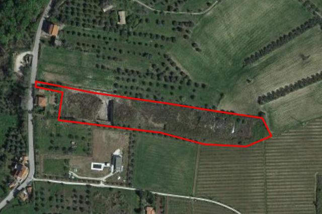 #20639 Terreno a cava di 17.220 mq in vendita - foto 1