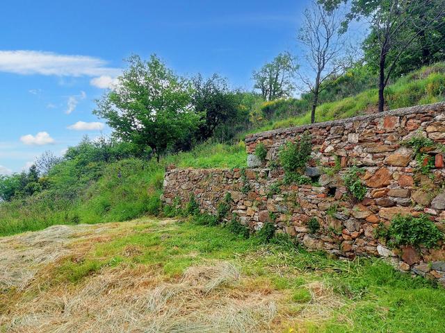 #20756 Terreno agricolo di 6 mq con pertinenze in vendita - foto 8