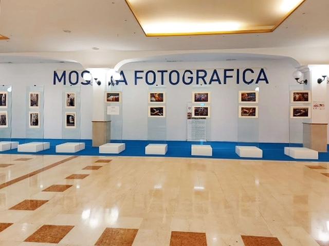 Negozi in vendita